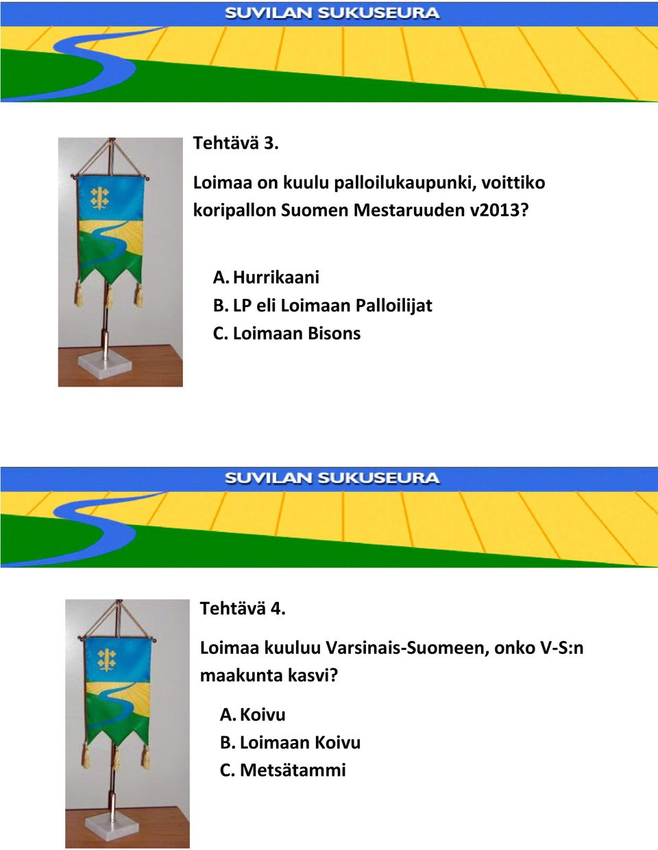 Mestaruuden v2013? A. Hurrikaani B. LP eli Loimaan Palloilijat C.