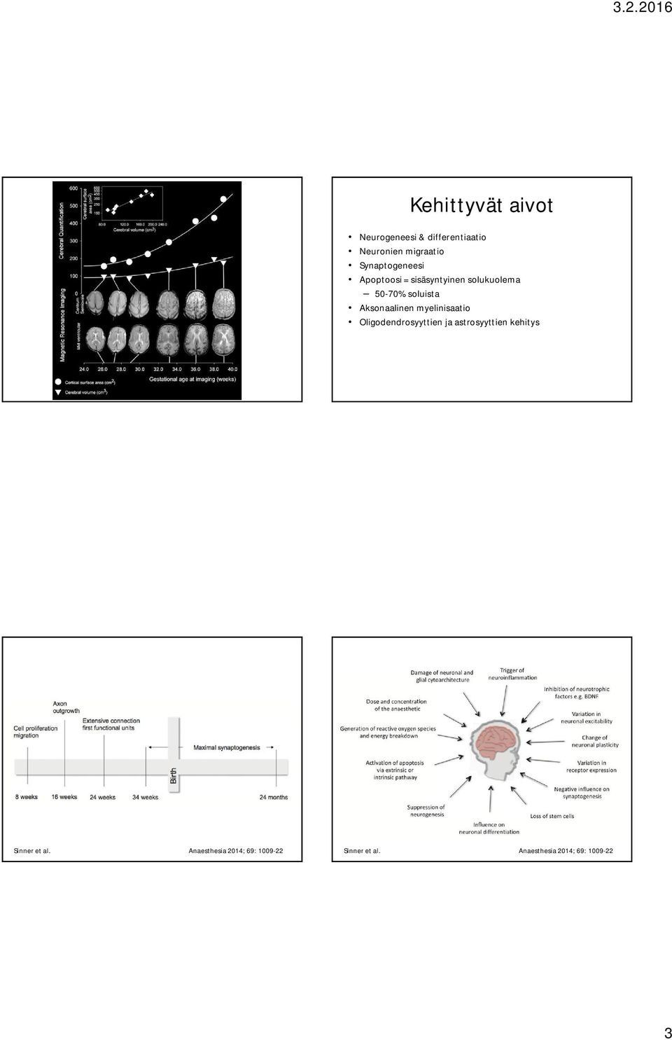 Aksonaalinen myelinisaatio Oligodendrosyyttien ja astrosyyttien kehitys