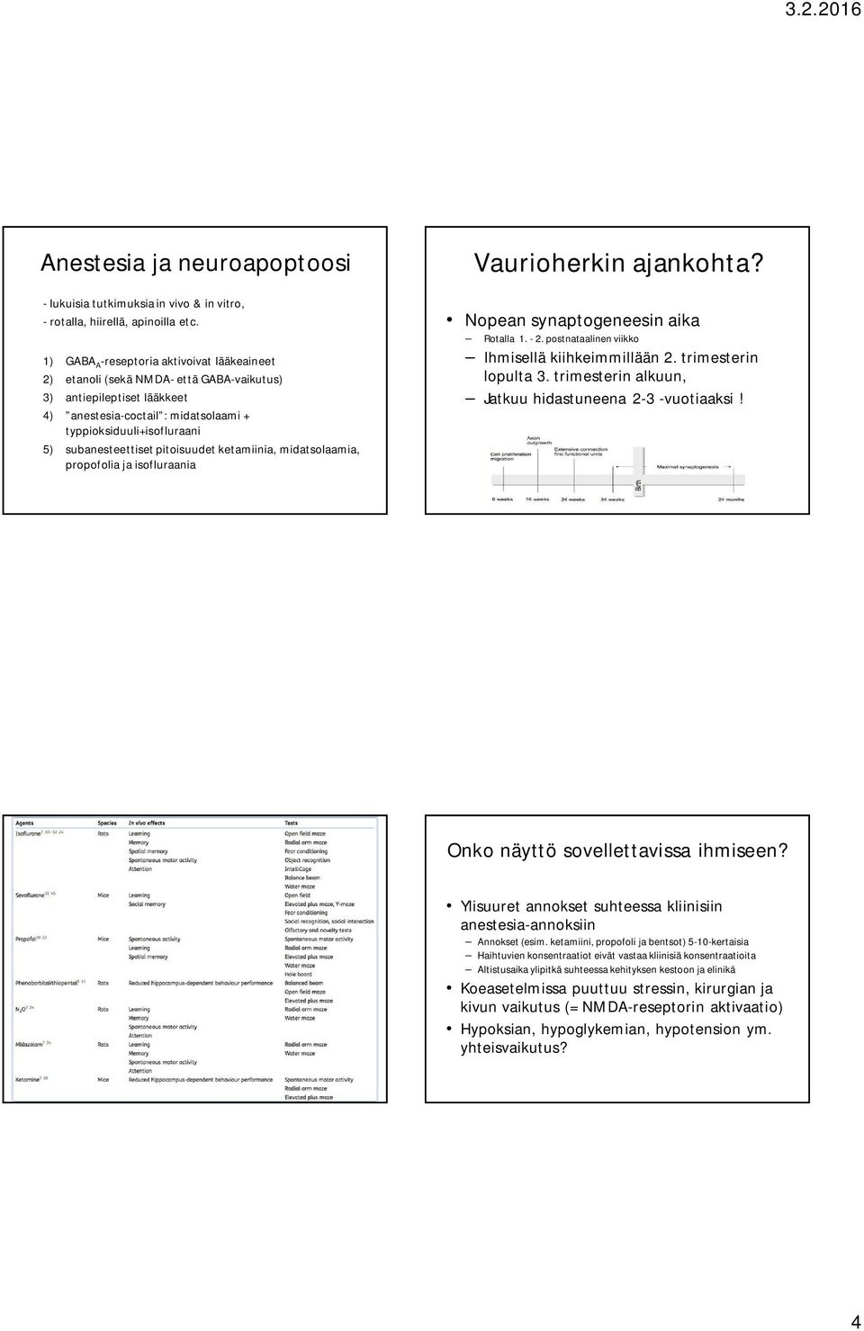 subanesteettiset pitoisuudet ketamiinia, midatsolaamia, propofolia ja isofluraania Vaurioherkin ajankohta? Nopean synaptogeneesin aika Rotalla 1. - 2.