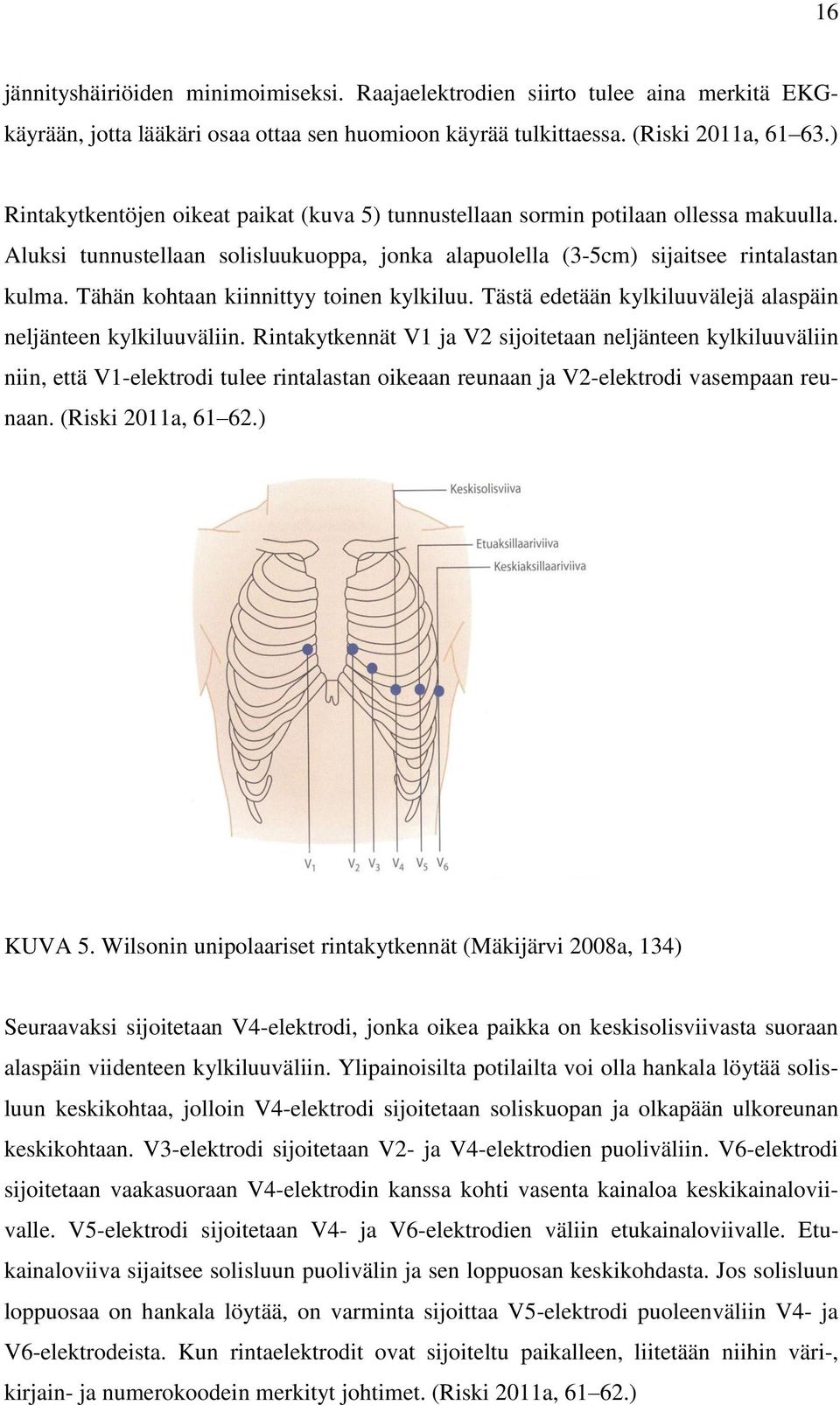 Tähän kohtaan kiinnittyy toinen kylkiluu. Tästä edetään kylkiluuvälejä alaspäin neljänteen kylkiluuväliin.