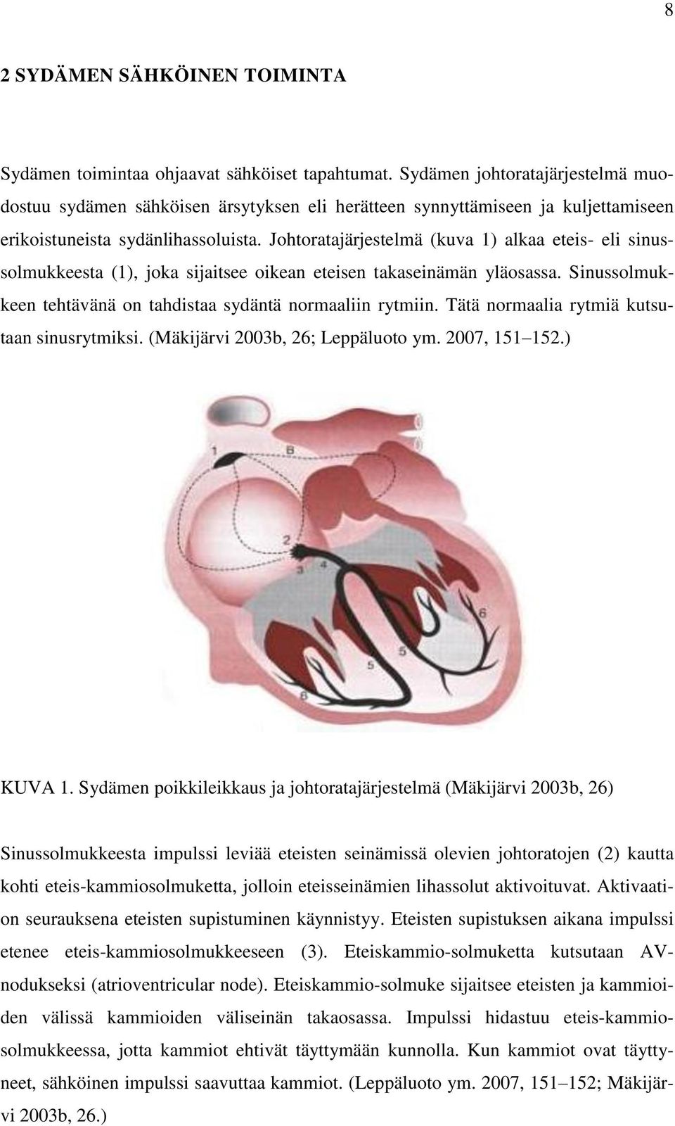 Johtoratajärjestelmä (kuva 1) alkaa eteis- eli sinussolmukkeesta (1), joka sijaitsee oikean eteisen takaseinämän yläosassa. Sinussolmukkeen tehtävänä on tahdistaa sydäntä normaaliin rytmiin.