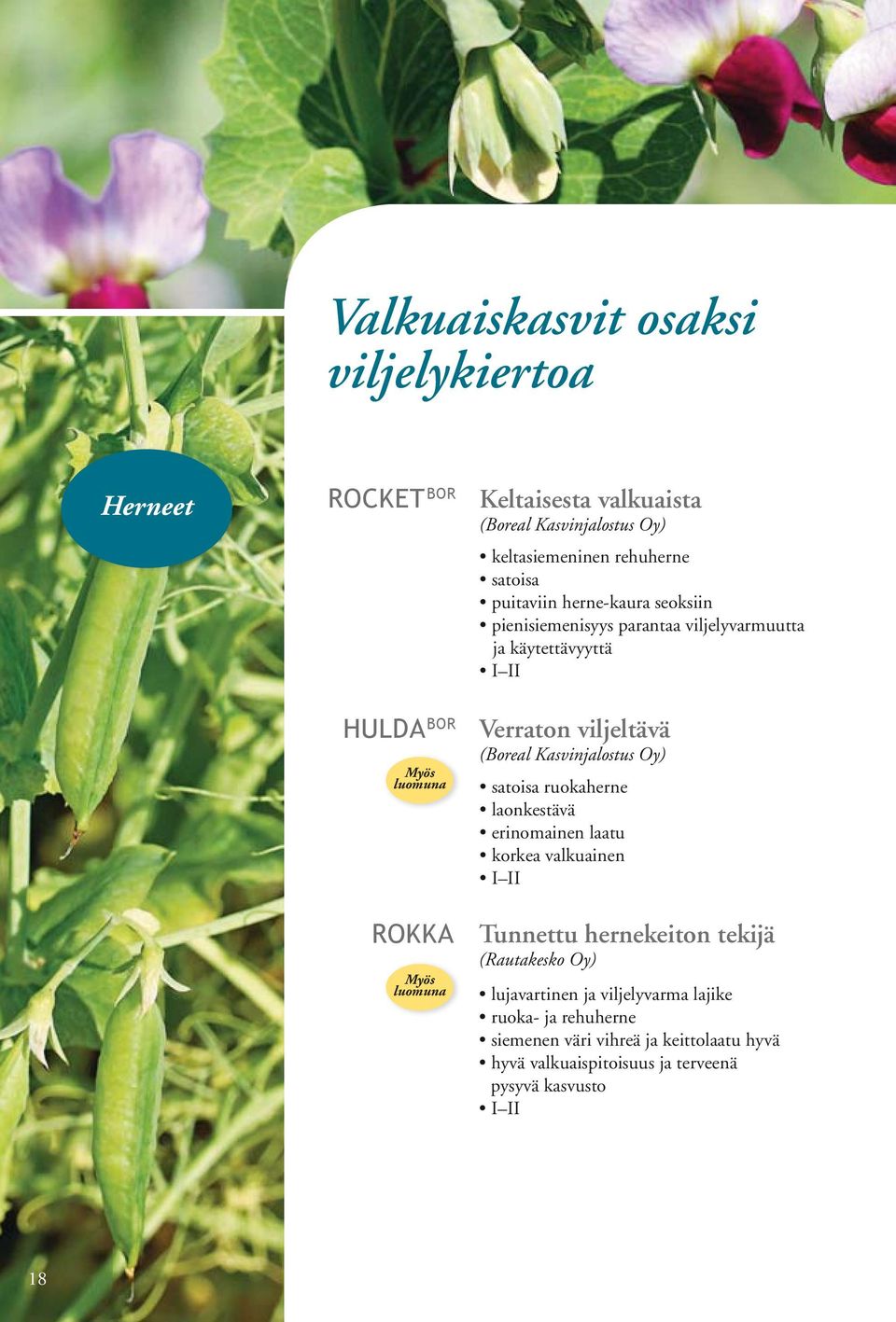 valkuaista ja käytettävyyttä Verraton viljeltävä