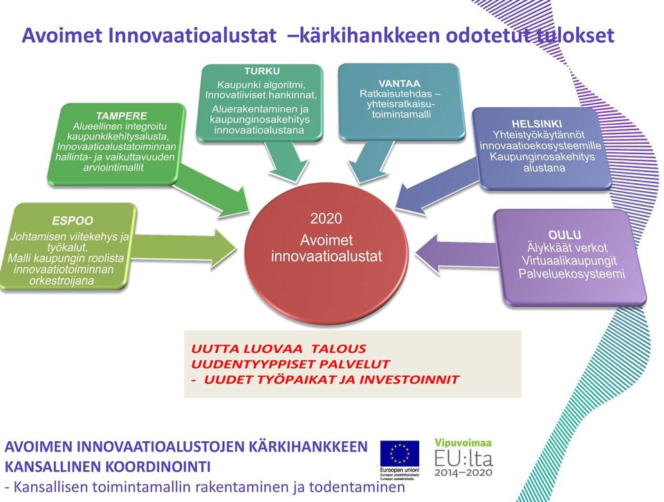 KÄRKIHANKKEEN KANSALLINEN KOORDINOINTI -