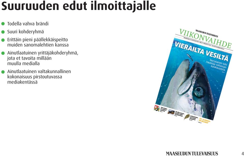 Ainutlaatuinen yrittäjäkohderyhmä, jota et tavoita millään muulla