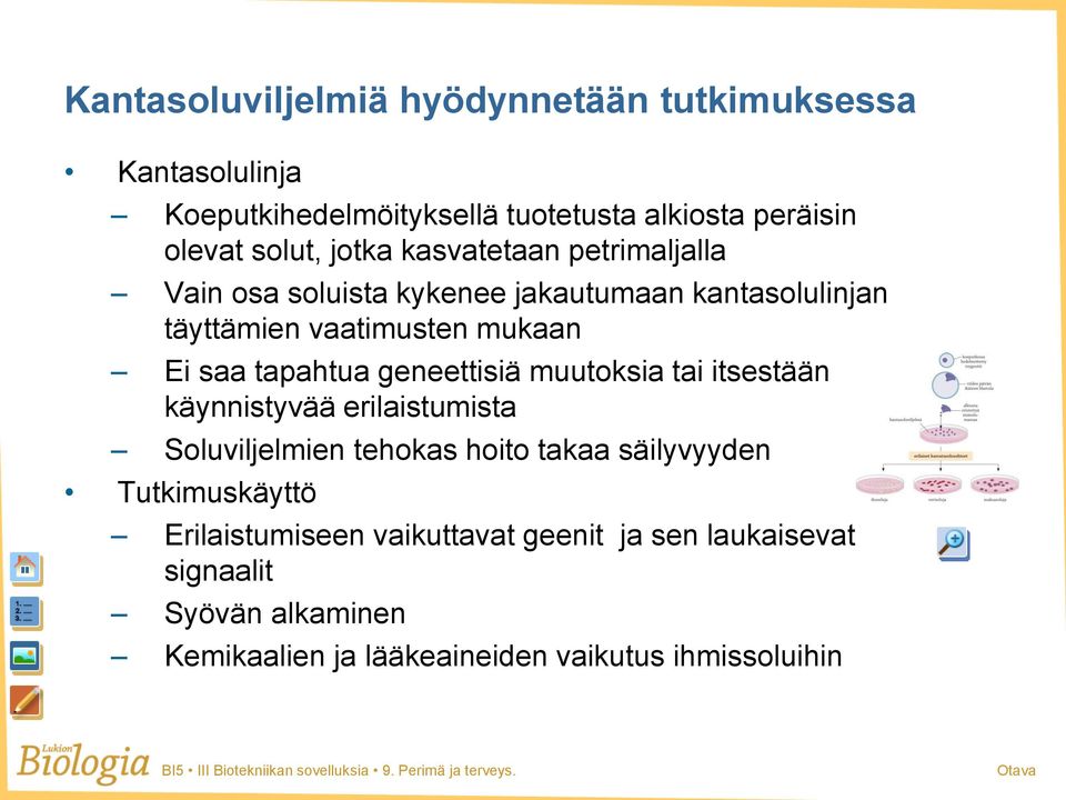 tapahtua geneettisiä muutoksia tai itsestään käynnistyvää erilaistumista Soluviljelmien tehokas hoito takaa säilyvyyden