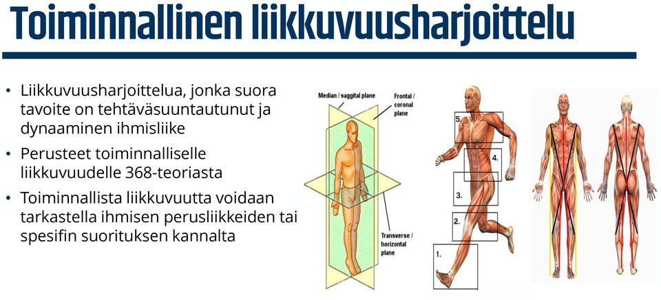 toiminnalliselle liikkuvuudelle 368-teoriasta Toiminnallista