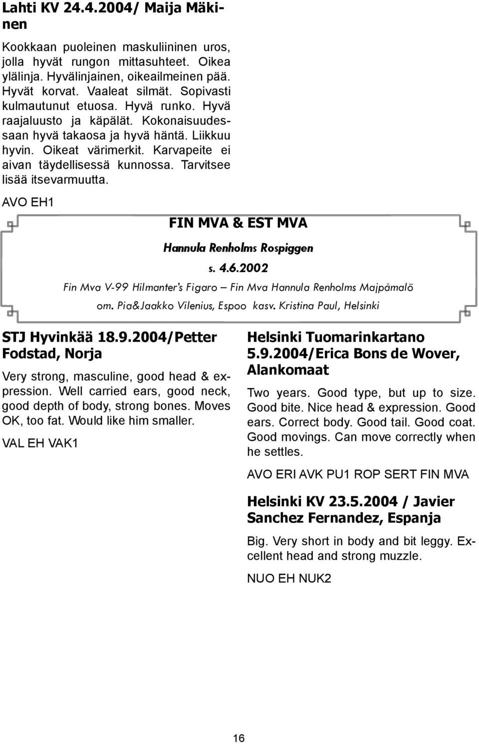 Tarvitsee lisää itsevarmuutta. AVO EH1 FIN MVA & EST MVA Hannula Renholms Rospiggen s. 4.6.2002 Fin Mva V-99 Hilmanter s Figaro Fin Mva Hannula Renholms Majpåmalö om. Pia&Jaakko Vilenius, Espoo kasv.