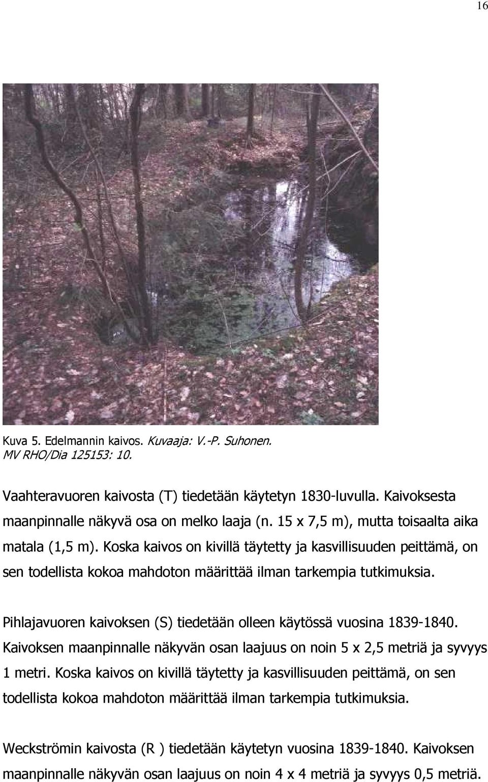 Pihlajavuoren kaivoksen (S) tiedetään olleen käytössä vuosina 1839-1840. Kaivoksen maanpinnalle näkyvän osan laajuus on noin 5 x 2,5 metriä ja syvyys 1 metri.