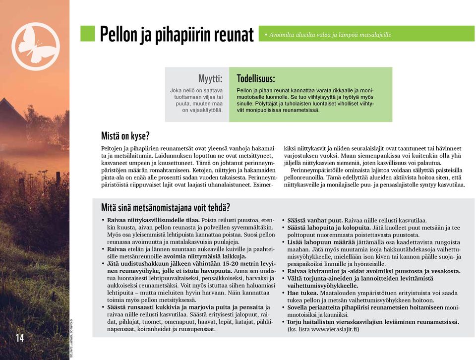 Pölyttäjät ja tuholaisten luontaiset viholliset viihtyvät monipuolisissa reunametsissä. Mistä on kyse? Peltojen ja pihapiirien reunametsät ovat yleensä vanhoja hakamaita ja metsälaitumia.