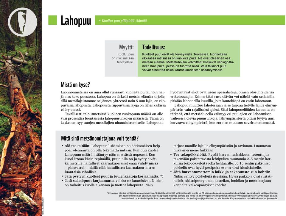 Vain tällaiset puut voivat aiheuttaa riskin kaarnakuoriaisten lisääntymiselle. Mistä on kyse? Luonnonmetsissä on aina ollut runsaasti kuolleita puita, noin neljän nes koko puustosta.