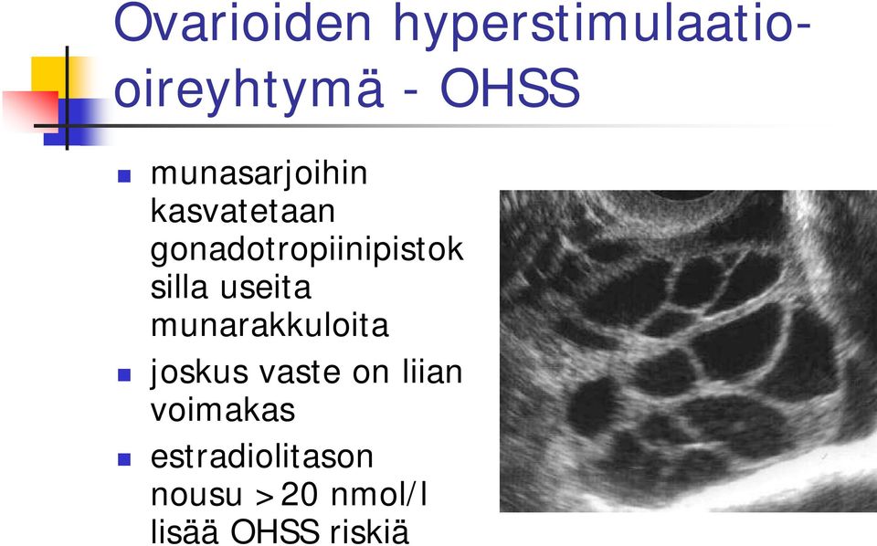 silla useita munarakkuloita joskus vaste on liian