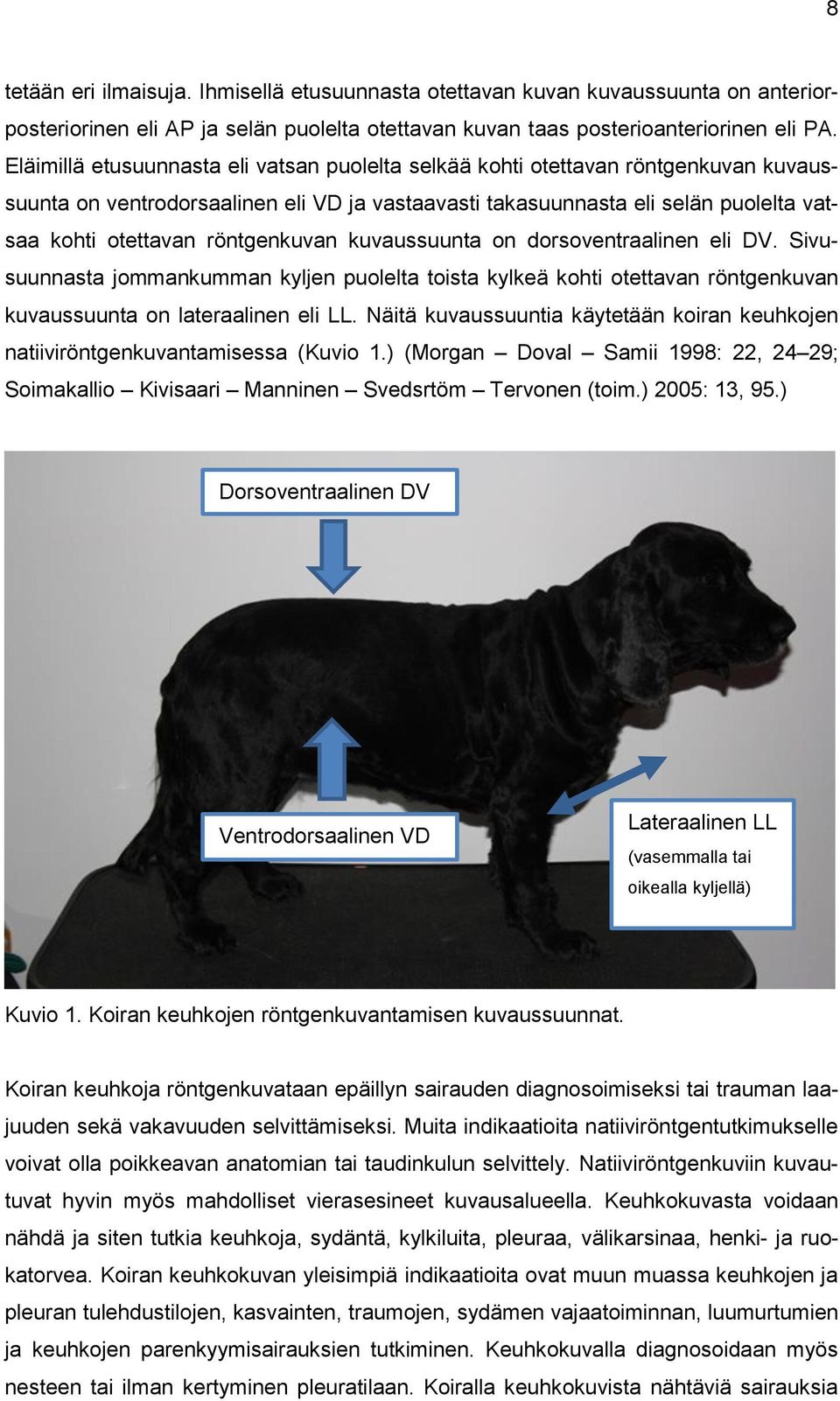 röntgenkuvan kuvaussuunta on dorsoventraalinen eli DV. Sivusuunnasta jommankumman kyljen puolelta toista kylkeä kohti otettavan röntgenkuvan kuvaussuunta on lateraalinen eli LL.