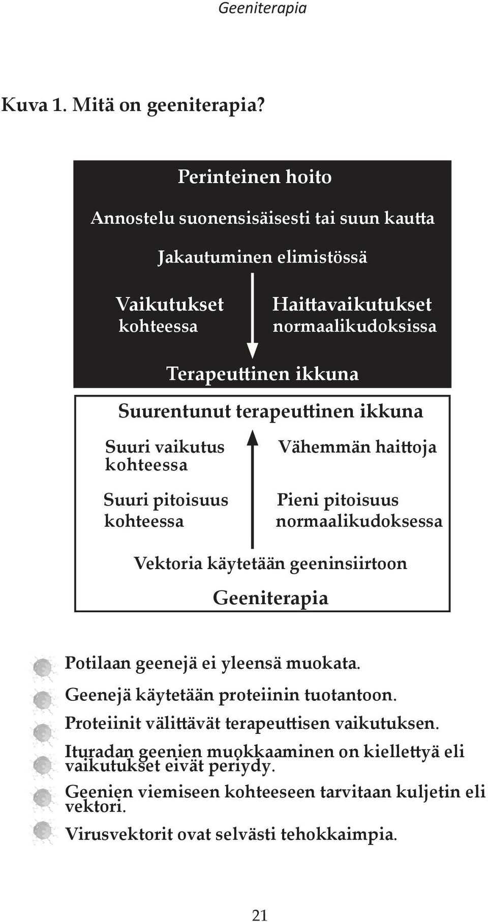Suurentunut terapeuttinen ikkuna Suuri vaikutus kohteessa Suuri pitoisuus kohteessa Vähemmän haittoja Pieni pitoisuus normaalikudoksessa Vektoria käytetään geeninsiirtoon