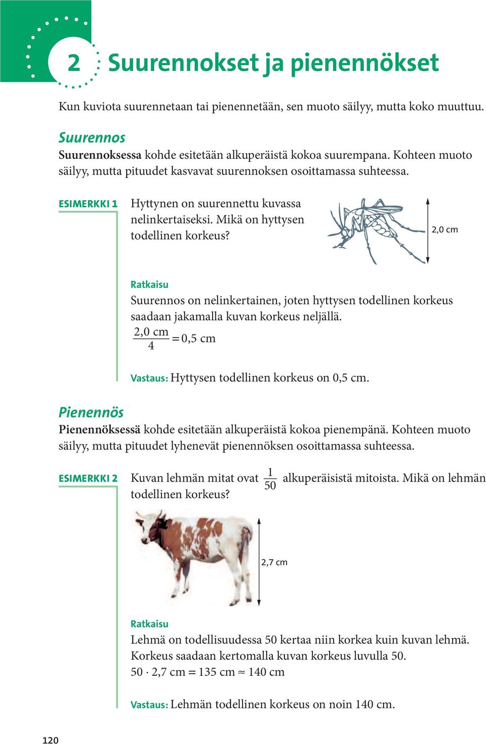 2,0 cm Ratkaisu Suurennos on nelinkertainen, joten hyttysen todellinen korkeus saadaan jakamalla kuvan korkeus neljällä. 2,0 cm 0,5 cm 4 Vastaus: Hyttysen todellinen korkeus on 0,5 cm.