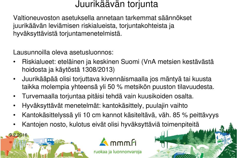 Lausunnoilla oleva asetusluonnos: Riskialueet: eteläinen ja keskinen Suomi (VnA metsien kestävästä hoidosta ja käytöstä 1308/2013) Juurikääpää olisi torjuttava