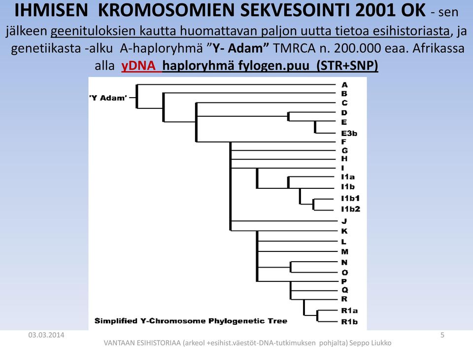 200.000 eaa. Afrikassa alla ydna haploryhmä fylogen.puu (STR+SNP) haplotyyppi) 03.
