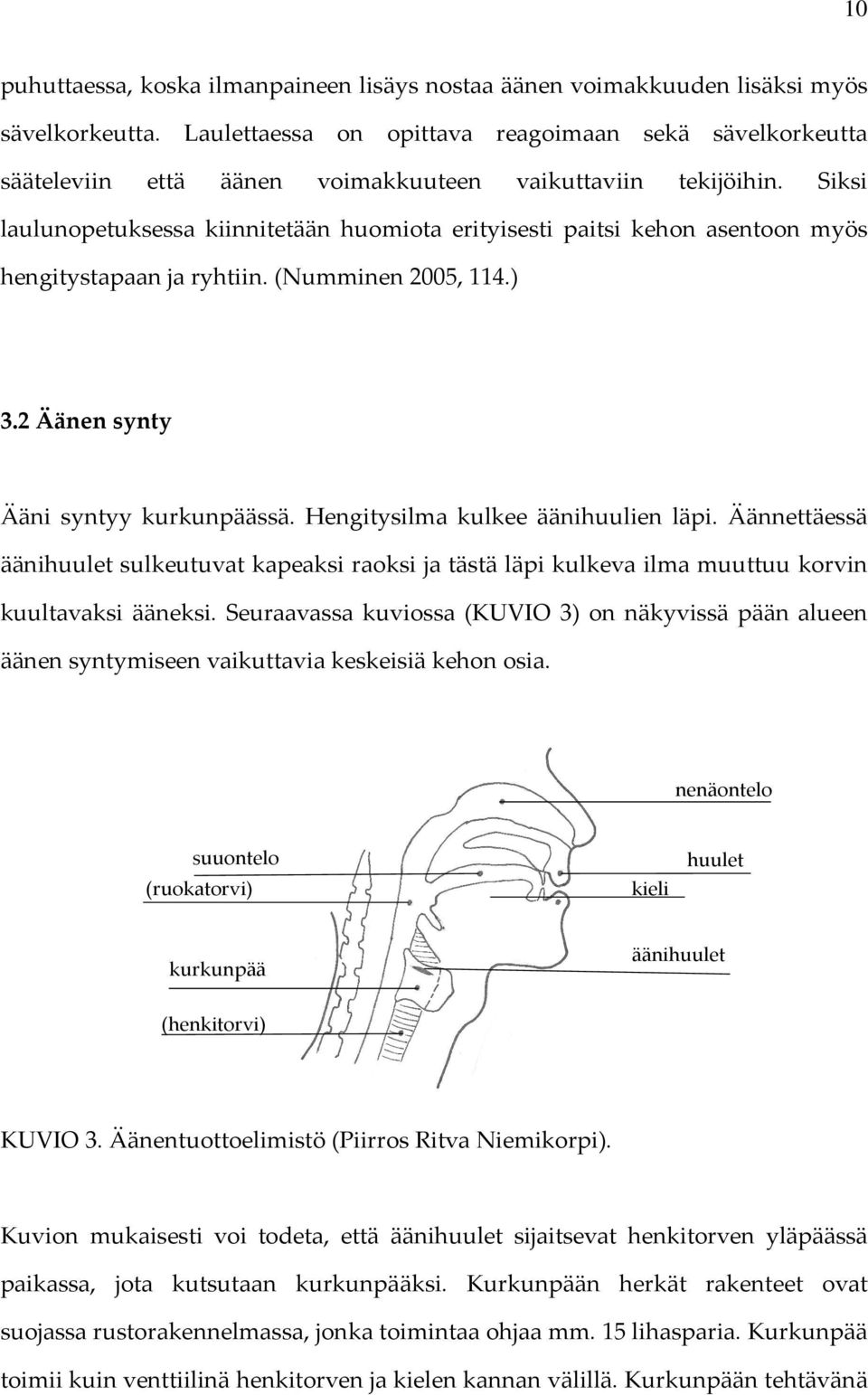 Siksi laulunopetuksessa kiinnitetään huomiota erityisesti paitsi kehon asentoon myös hengitystapaan ja ryhtiin. (Numminen 2005, 114.) 3.2 Äänen synty Ääni syntyy kurkunpäässä.