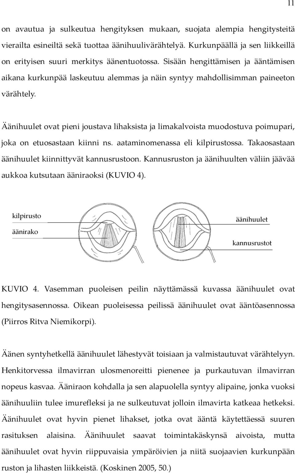 Äänihuulet ovat pieni joustava lihaksista ja limakalvoista muodostuva poimupari, joka on etuosastaan kiinni ns. aataminomenassa eli kilpirustossa. Takaosastaan äänihuulet kiinnittyvät kannusrustoon.