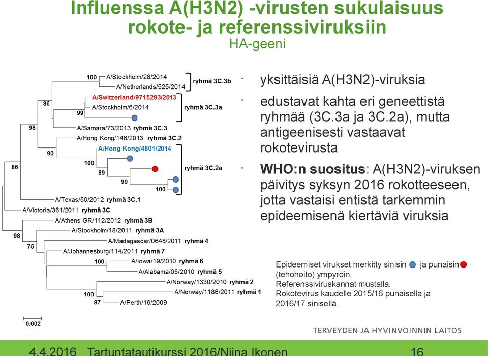 2a), mutta antigeenisesti vastaavat rokotevirusta WHO:n suositus: A(H3N2)-viruksen päivitys syksyn 2016 rokotteeseen, jotta