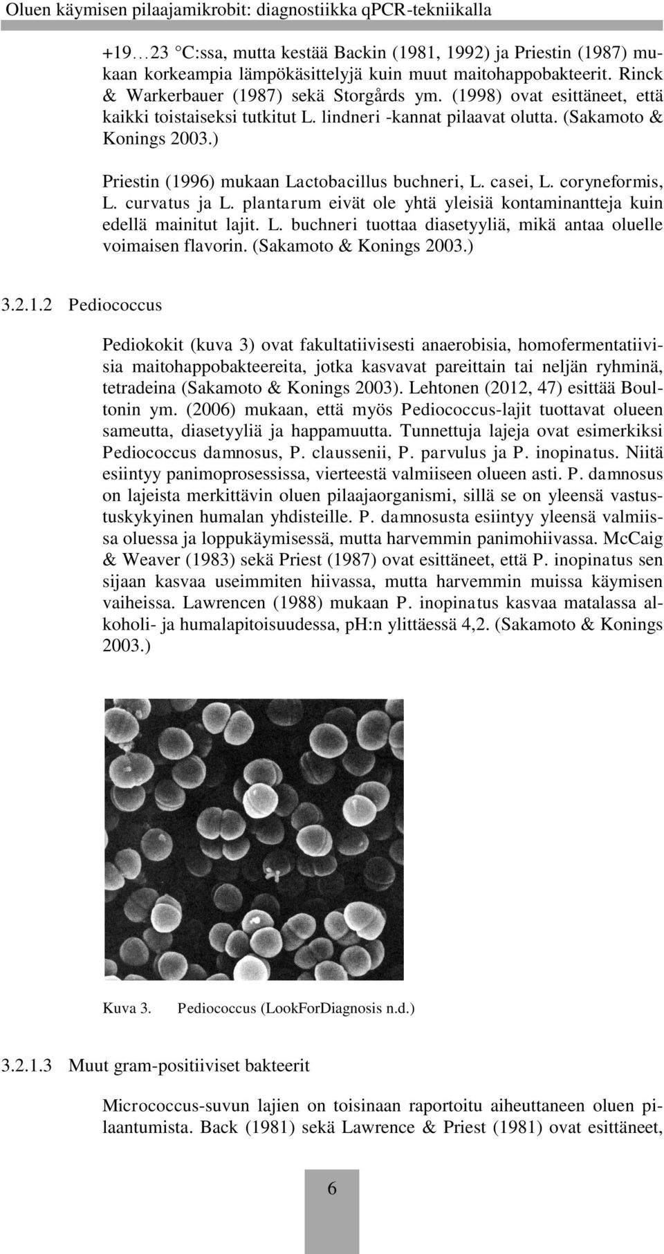 curvatus ja L. plantarum eivät ole yhtä yleisiä kontaminantteja kuin edellä mainitut lajit. L. buchneri tuottaa diasetyyliä, mikä antaa oluelle voimaisen flavorin. (Sakamoto & Konings 2003.) 3.2.1.