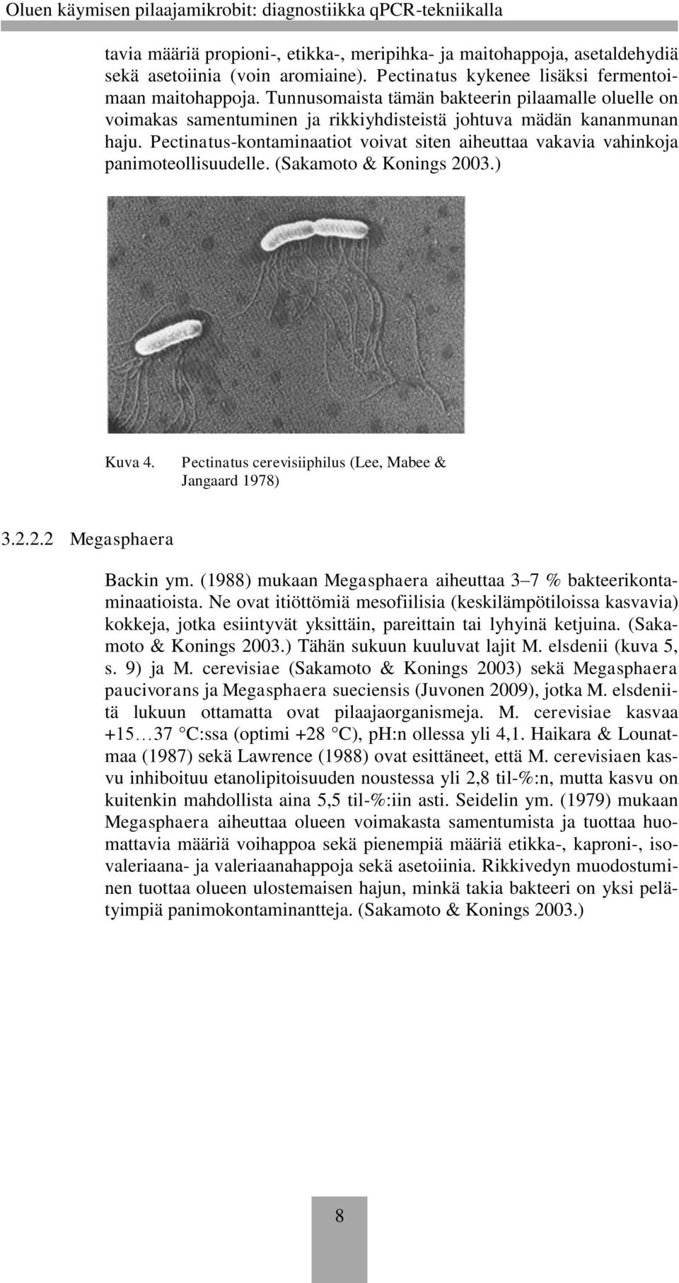 Pectinatus-kontaminaatiot voivat siten aiheuttaa vakavia vahinkoja panimoteollisuudelle. (Sakamoto & Konings 2003.) Kuva 4. Pectinatus cerevisiiphilus (Lee, Mabee & Jangaard 1978) 3.2.2.2 Megasphaera Backin ym.