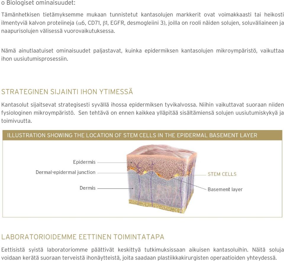 Nämä ainutlaatuiset ominaisuudet paljastavat, kuinka epidermiksen kantasolujen mikroympäristö, vaikuttaa ihon uusiutumisprosessiin.