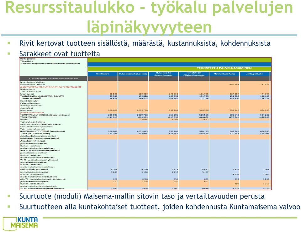 Suurtuote (moduli) Maisema-mallin sitovin taso ja vertailtavuuden perusta