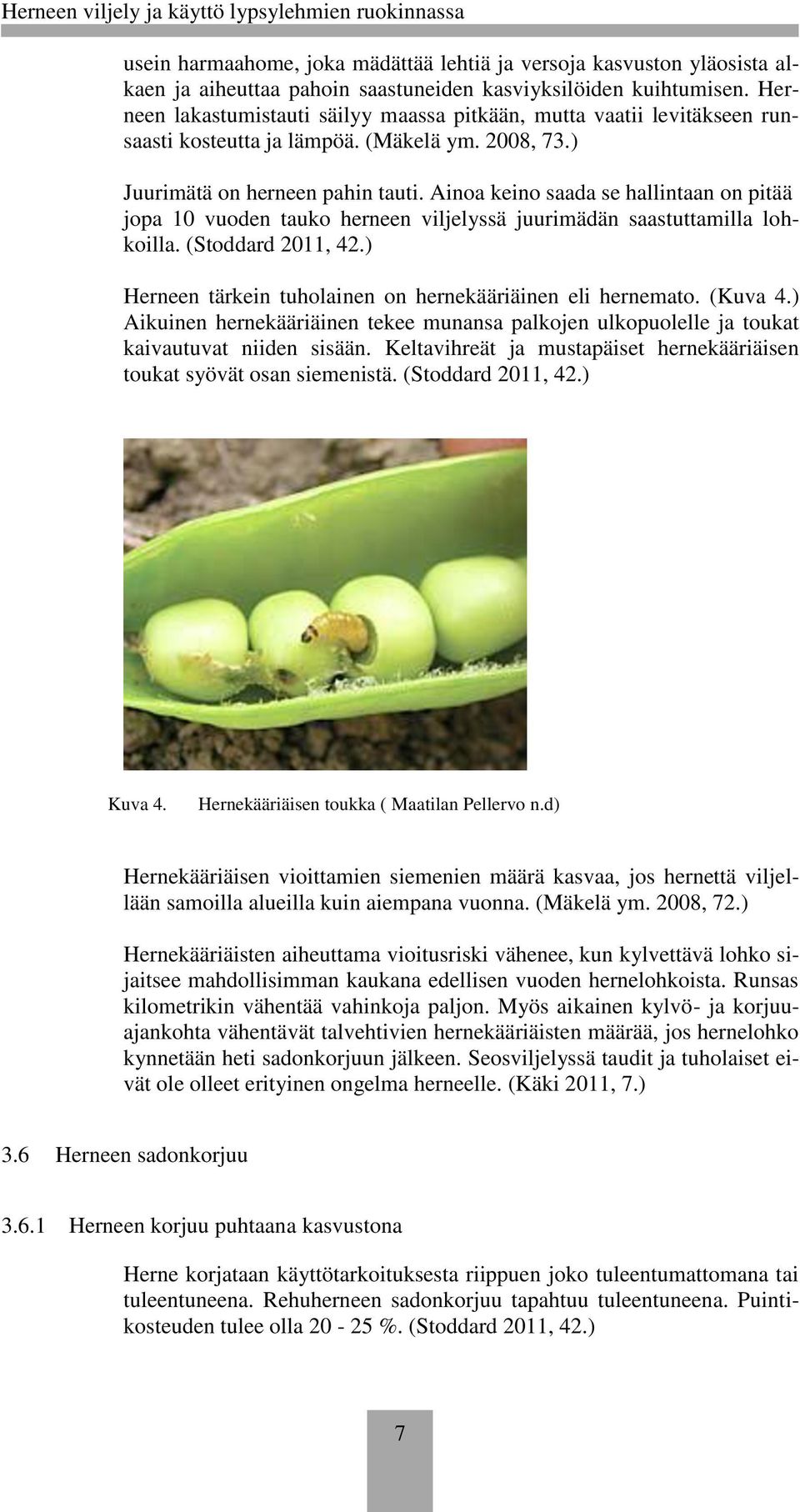 Ainoa keino saada se hallintaan on pitää jopa 10 vuoden tauko herneen viljelyssä juurimädän saastuttamilla lohkoilla. (Stoddard 2011, 42.) Herneen tärkein tuholainen on hernekääriäinen eli hernemato.