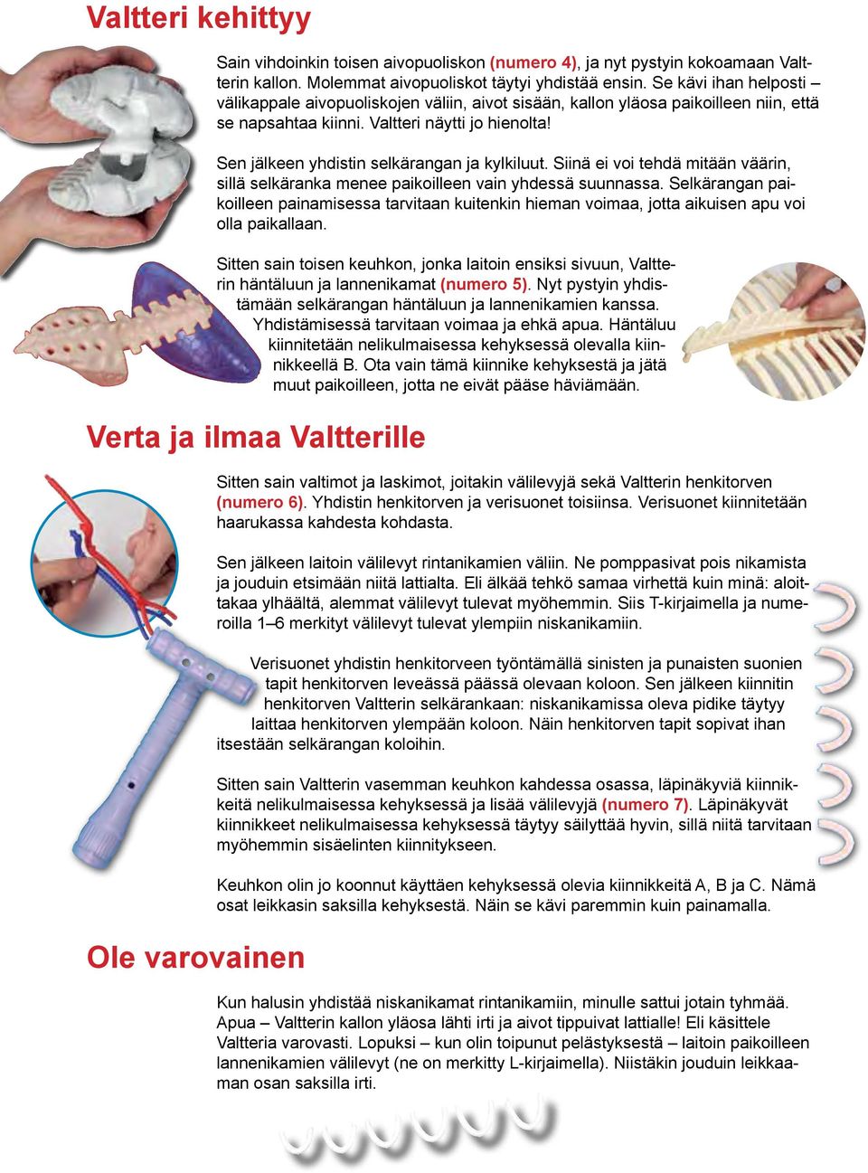 Sen jälkeen yhdistin selkärangan ja kylkiluut. Siinä ei voi tehdä mitään väärin, sillä selkäranka menee paikoilleen vain yhdessä suunnassa.