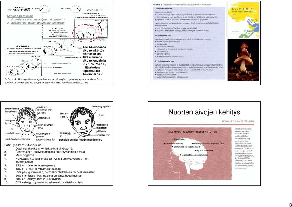 Schore, A: The experience-dependent maturation of a regulatory system in the orbital prefrontal cortex and the origin of developmental psychopathology, 1996 FAE Nuorten aivojen kehitys FAS FAS/E