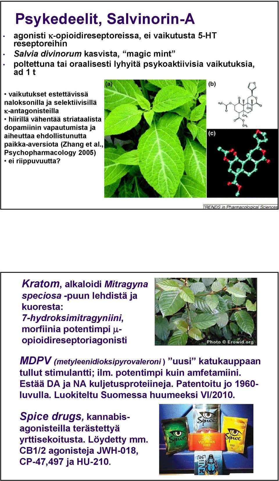 , Psychopharmacology 2005) ei riippuvuutta?