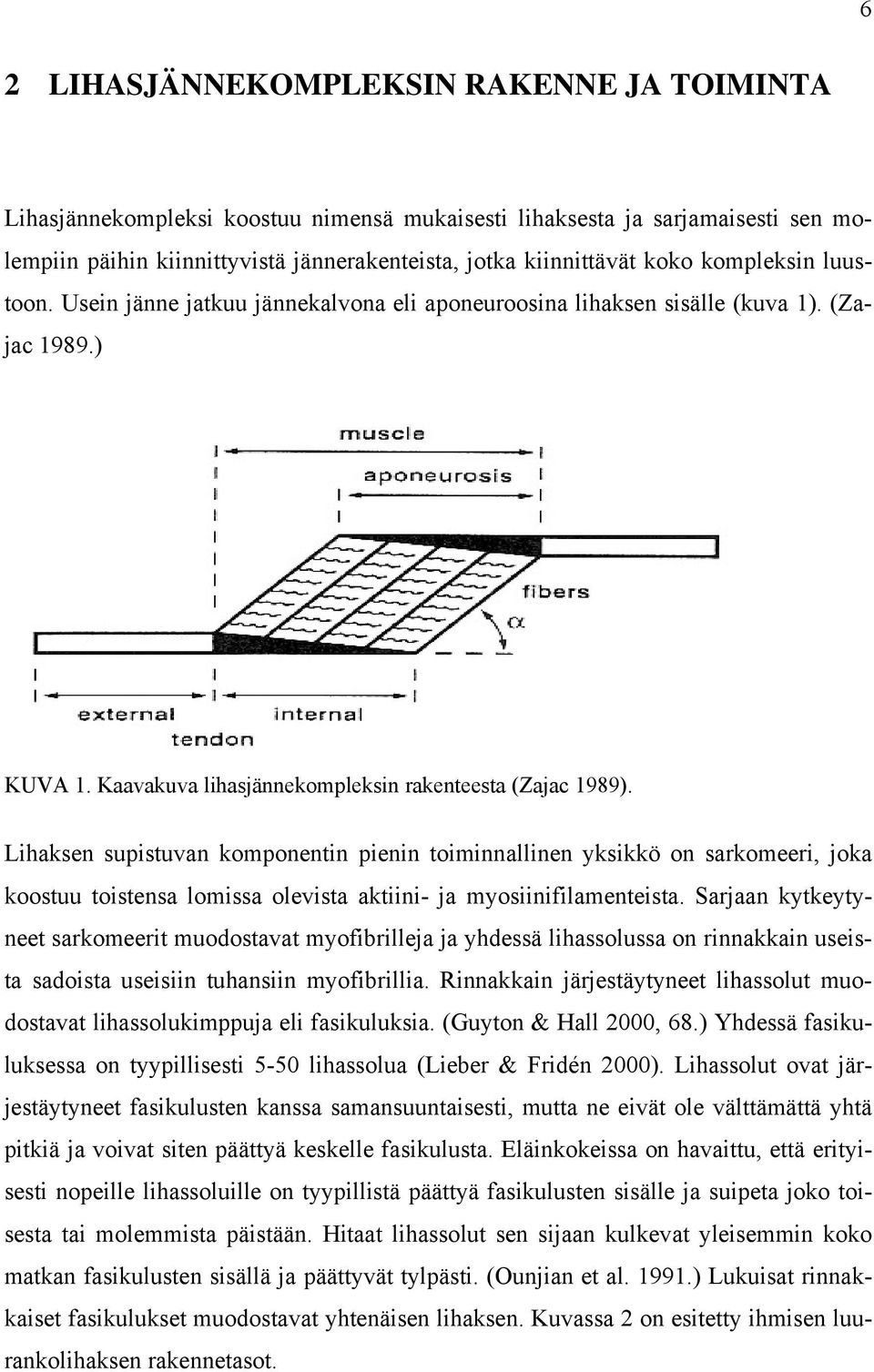 Lihaksen supistuvan komponentin pienin toiminnallinen yksikkö on sarkomeeri, joka koostuu toistensa lomissa olevista aktiini- ja myosiinifilamenteista.