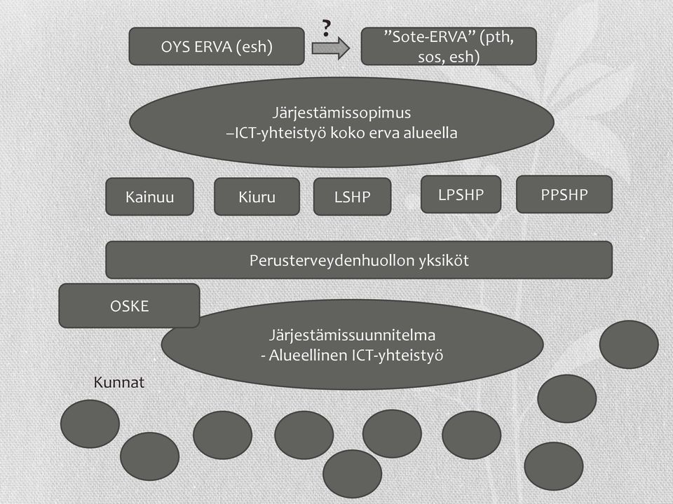ICT-yhteistyö koko erva alueella Kainuu Kiuru LSHP