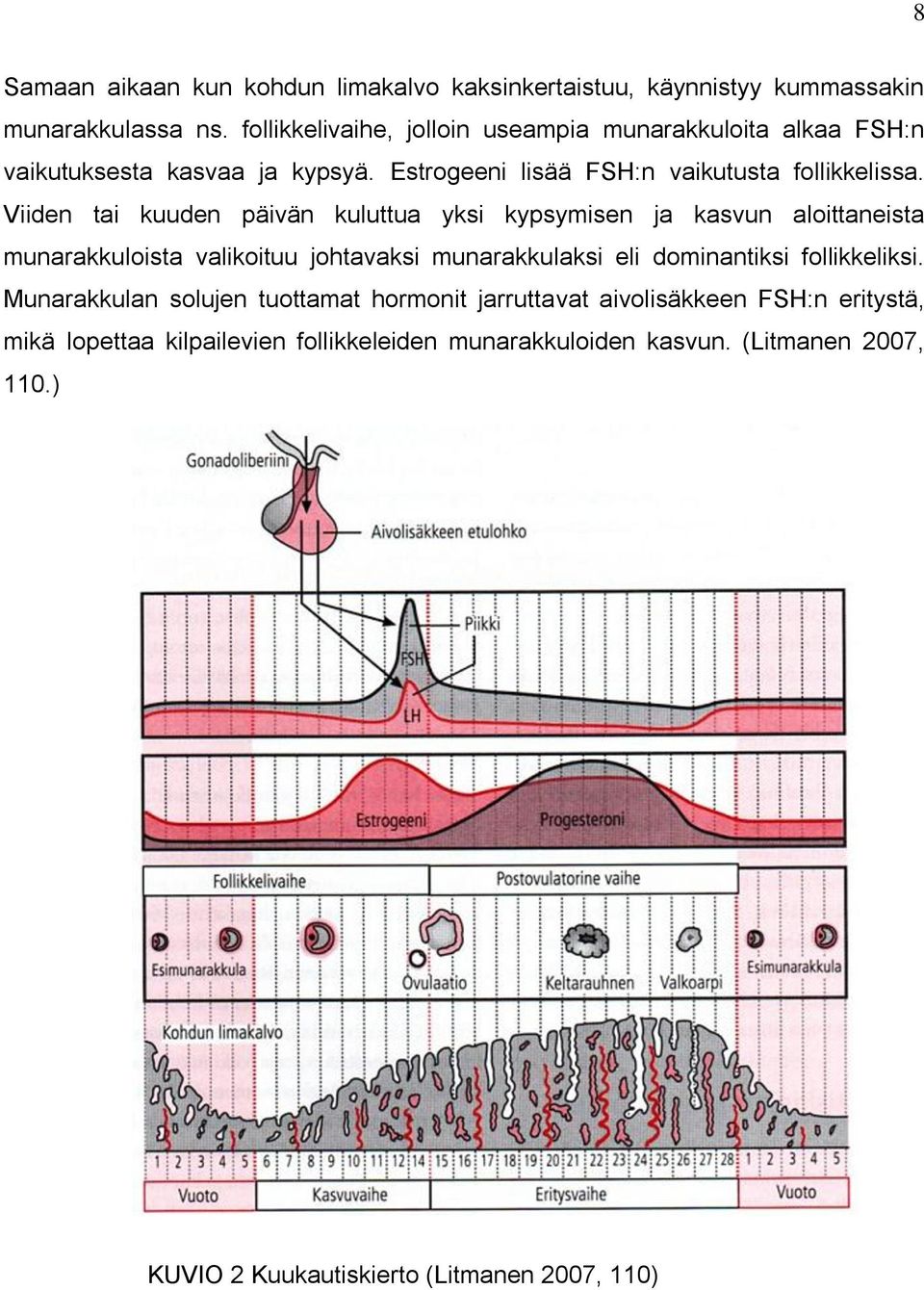 Viiden tai kuuden päivän kuluttua yksi kypsymisen ja kasvun aloittaneista munarakkuloista valikoituu johtavaksi munarakkulaksi eli dominantiksi