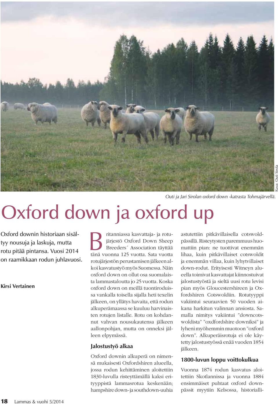Sata vuotta rotujärjestön perustamisen jälkeen alkoi kasvatustyö myös Suomessa. Näin oxford down on ollut osa suomalaista lammastaloutta jo 25 vuotta.