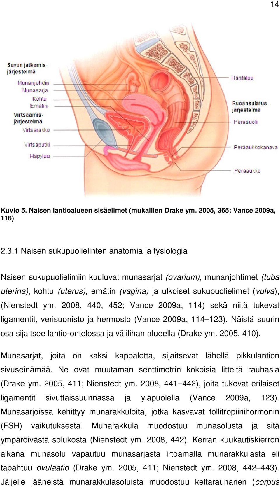 1 Naisen sukupuolielinten anatomia ja fysiologia Naisen sukupuolielimiin kuuluvat munasarjat (ovarium), munanjohtimet (tuba uterina), kohtu (uterus), emätin (vagina) ja ulkoiset sukupuolielimet