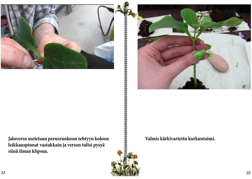 vastakkain ja verson tulisi pysyä siinä