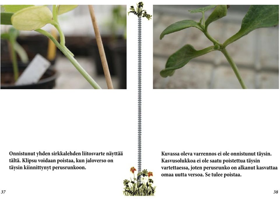 Kuvassa oleva varrennos ei ole onnistunut täysin.