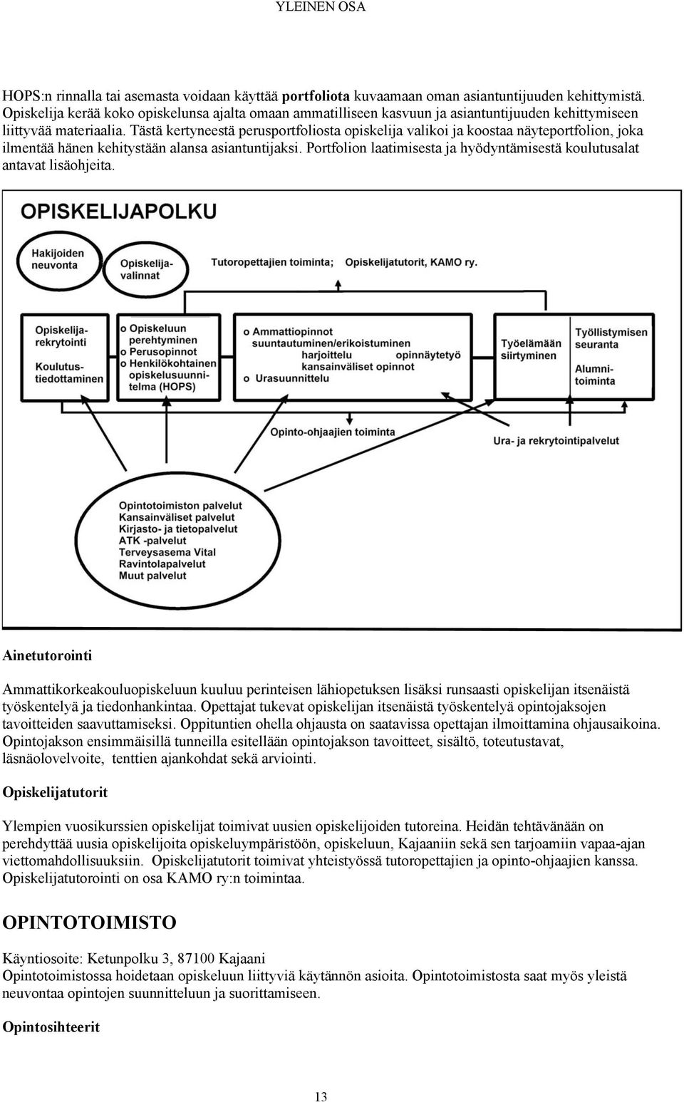 Tästä kertyneestä perusportfoliosta opiskelija valikoi ja koostaa näyteportfolion, joka ilmentää hänen kehitystään alansa asiantuntijaksi.