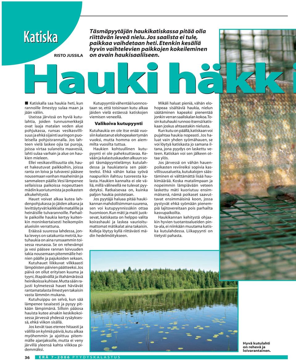 Useissa järvissä on hyviä kutulahtia, joiden tunnusmerkkejä ovat laaja matalan veden alue pohjukassa, runsas vesikasvillisuus ja ehkä sijainti auringon puoleisella pohjoisrannalla.