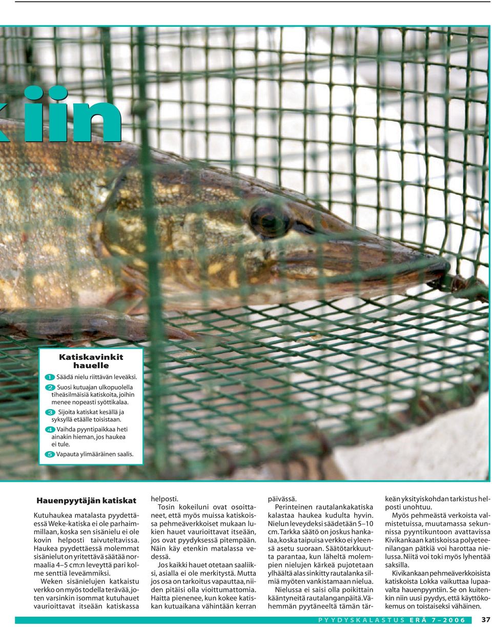 Hauenpyytäjän katiskat Kutuhaukea matalasta pyydettäessä Weke-katiska ei ole parhaimmillaan, koska sen sisänielu ei ole kovin helposti taivuteltavissa.