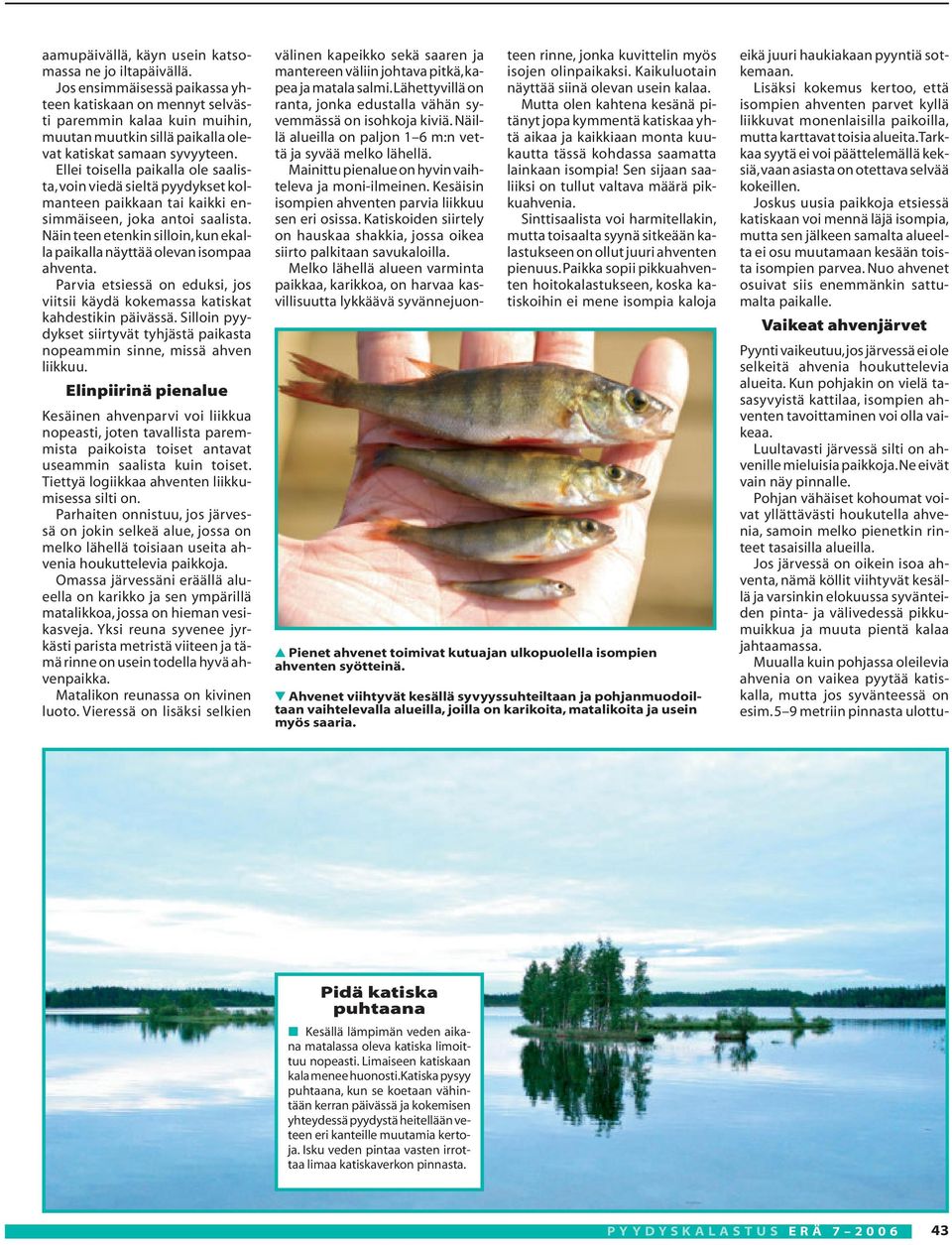 Ellei toisella paikalla ole saalista,voin viedä sieltä pyydykset kolmanteen paikkaan tai kaikki ensimmäiseen, joka antoi saalista.