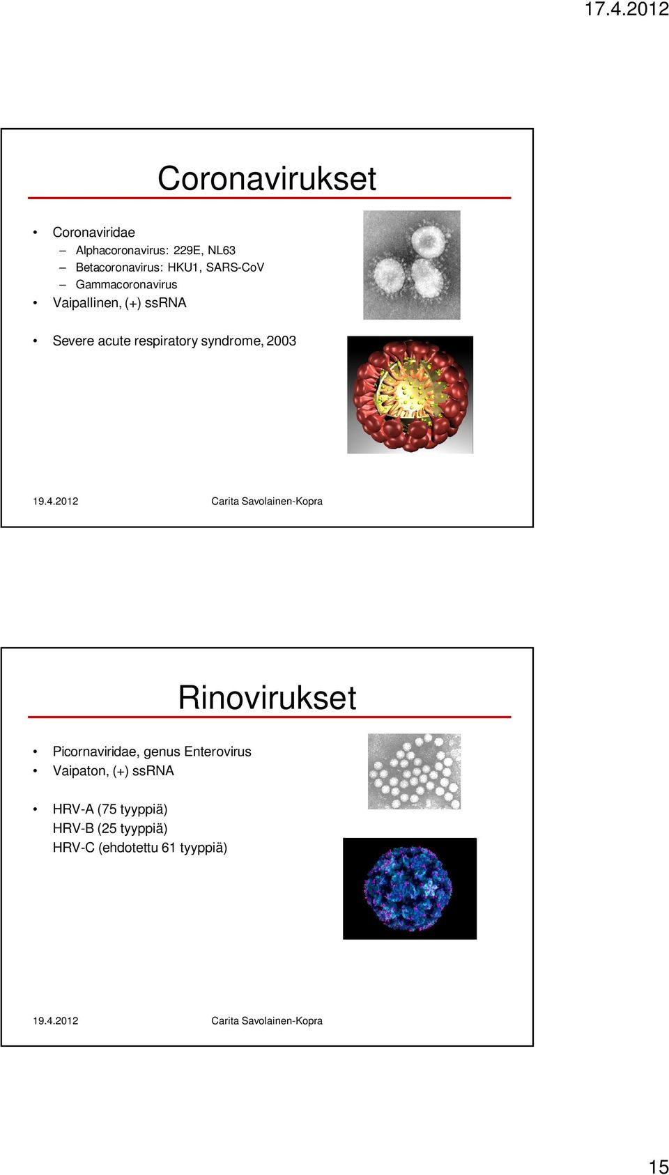 respiratory syndrome, 2003 Rinovirukset Picornaviridae, genus Enterovirus