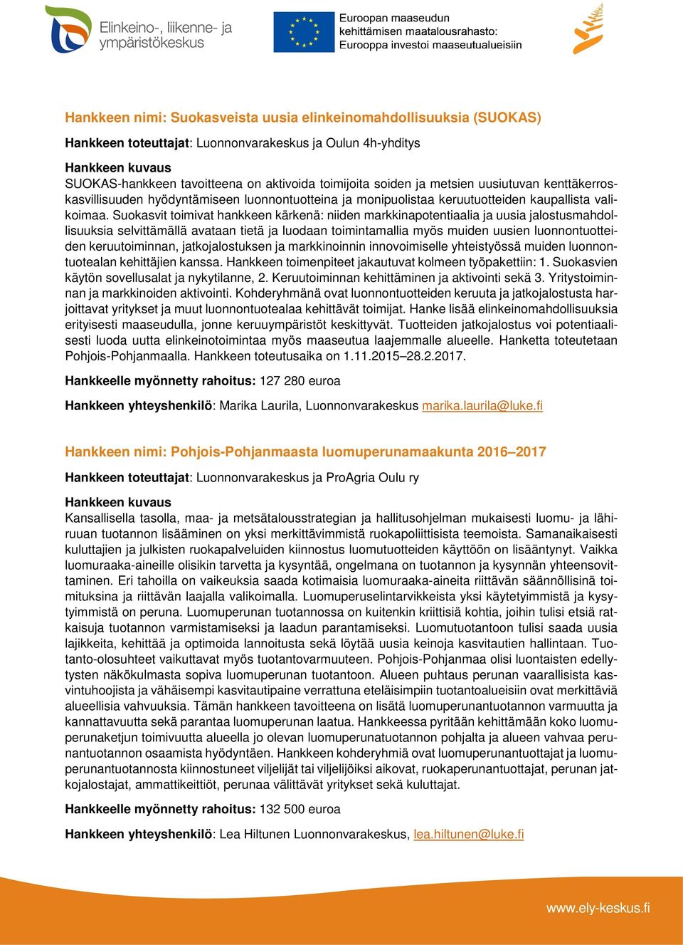 Suokasvit toimivat hankkeen kärkenä: niiden markkinapotentiaalia ja uusia jalostusmahdollisuuksia selvittämällä avataan tietä ja luodaan toimintamallia myös muiden uusien luonnontuotteiden