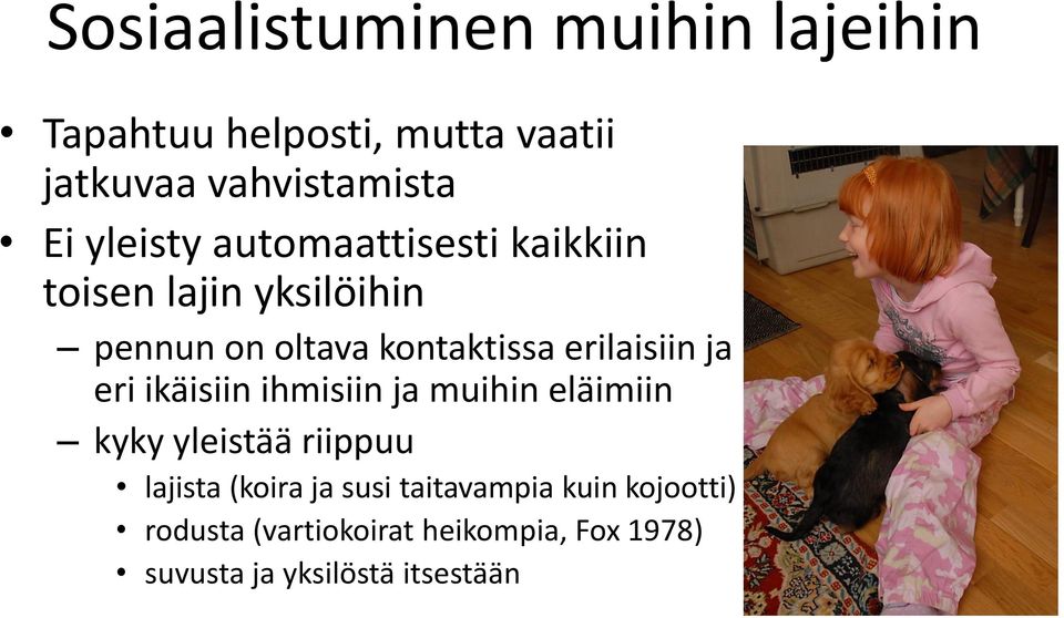 erilaisiin ja eri ikäisiin ihmisiin ja muihin eläimiin kyky yleistää riippuu lajista (koira ja