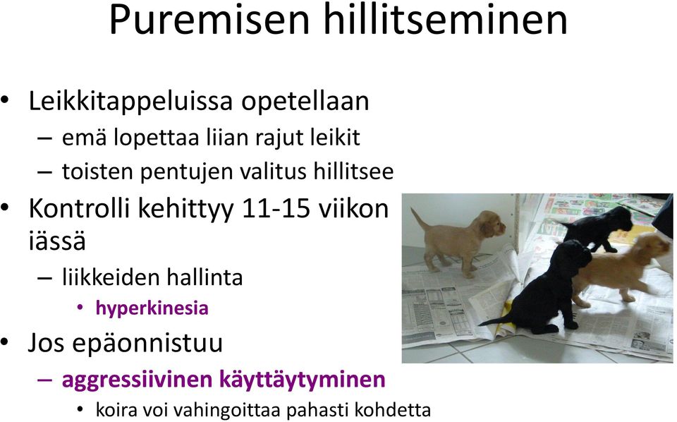 kehittyy 11-15 viikon iässä liikkeiden hallinta hyperkinesia Jos