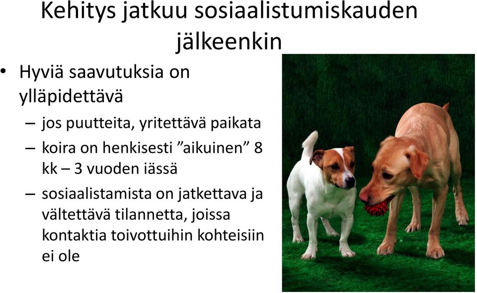 aikuinen 8 kk 3 vuoden iässä sosiaalistamista on jatkettava ja