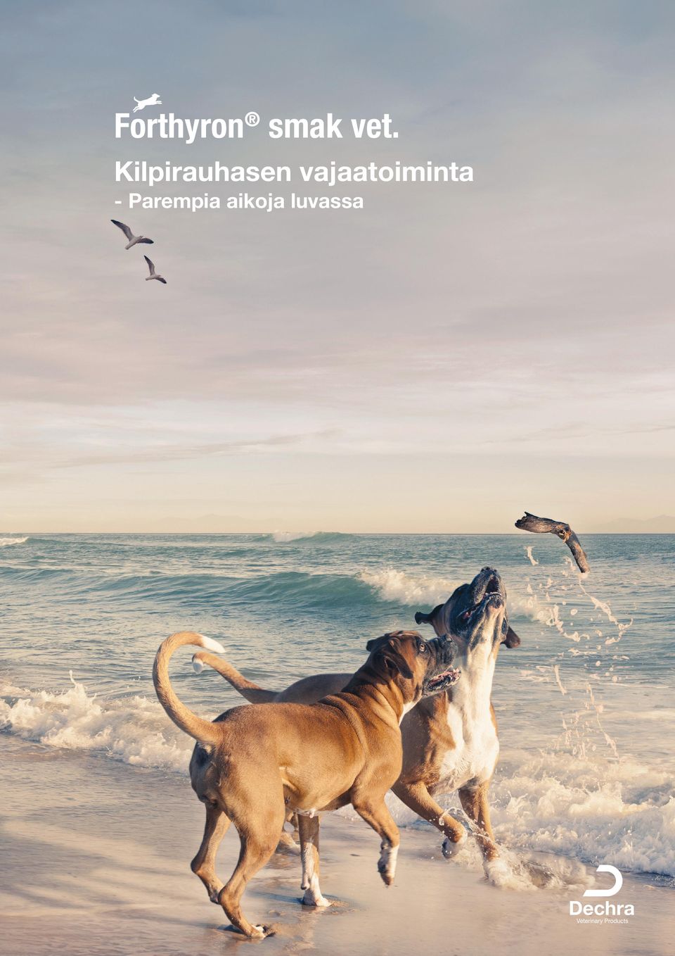 vajaatoiminta -