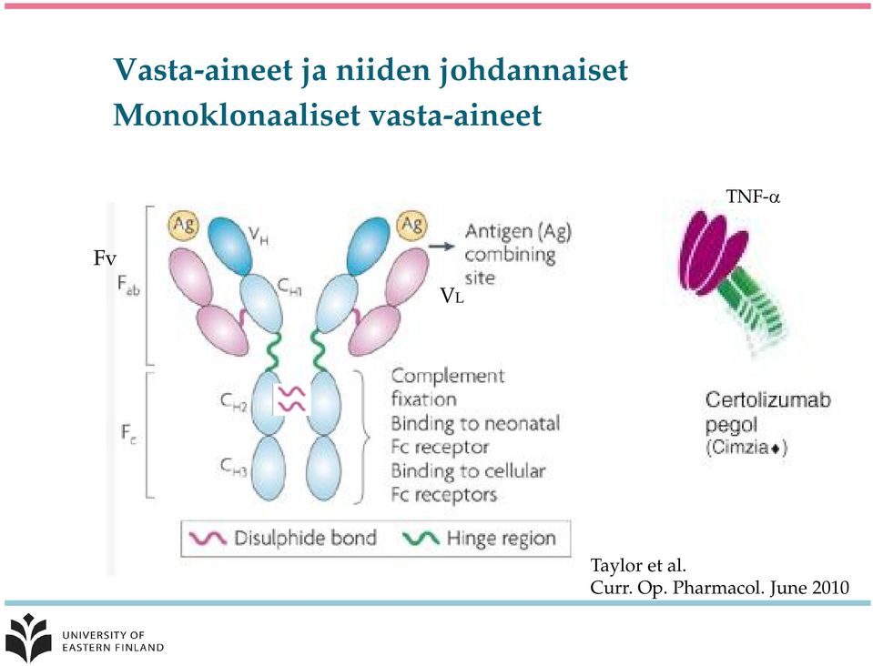 vasta-aineet TNF-a Fv VL