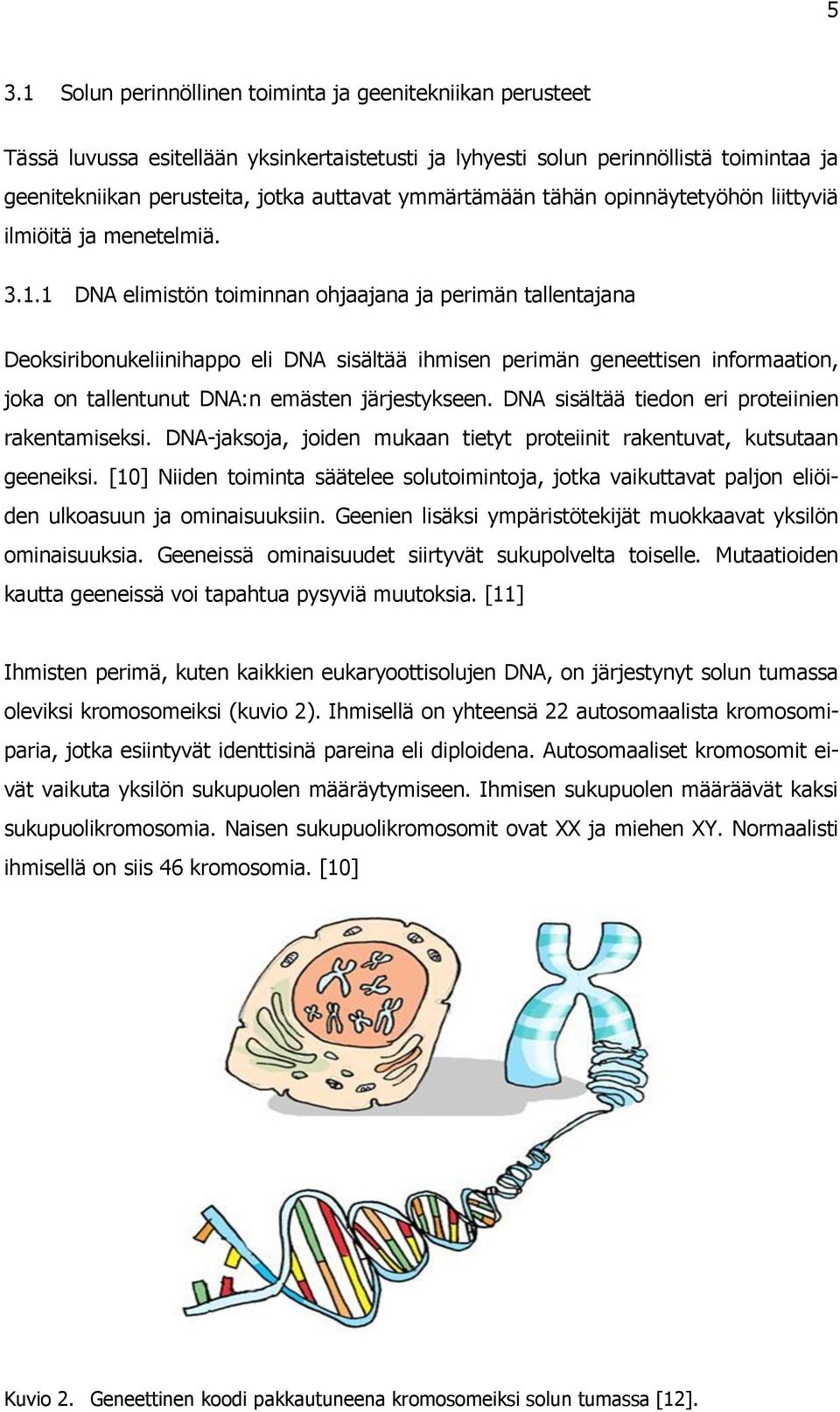 1 DNA elimistön toiminnan ohjaajana ja perimän tallentajana Deoksiribonukeliinihappo eli DNA sisältää ihmisen perimän geneettisen informaation, joka on tallentunut DNA:n emästen järjestykseen.